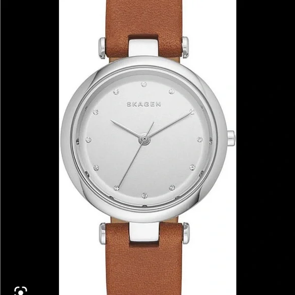 Skagen Tanja Silver Dial Ladies Leather Watch - Picture 2 of 7